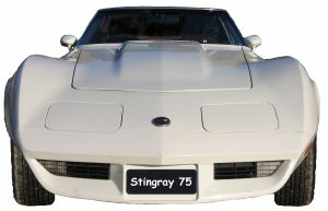 Stringray 75